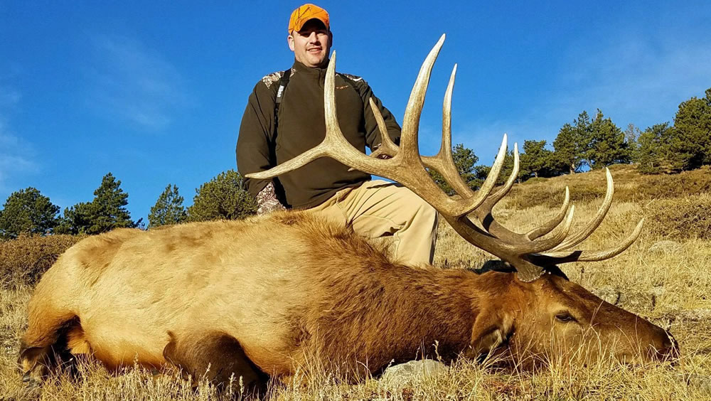 Elk Hunts