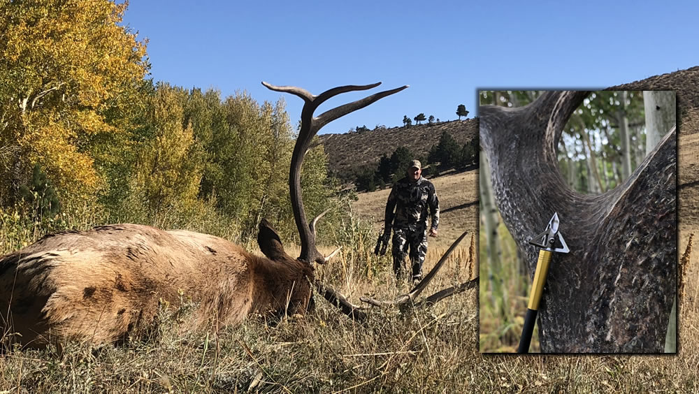 Elk Hunts