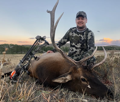 elk hunts what to expect