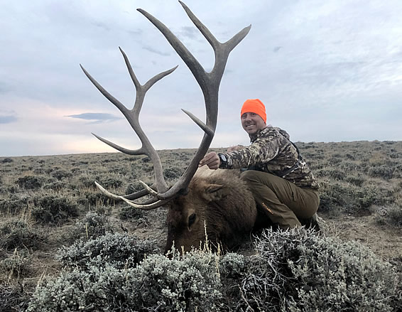 Wyoming Elk Hunts