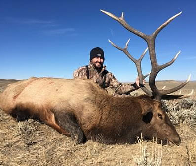 Prairie Elk