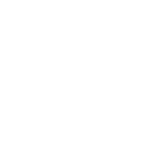 Elk