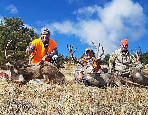 Wyoming Mule Deer Hunts