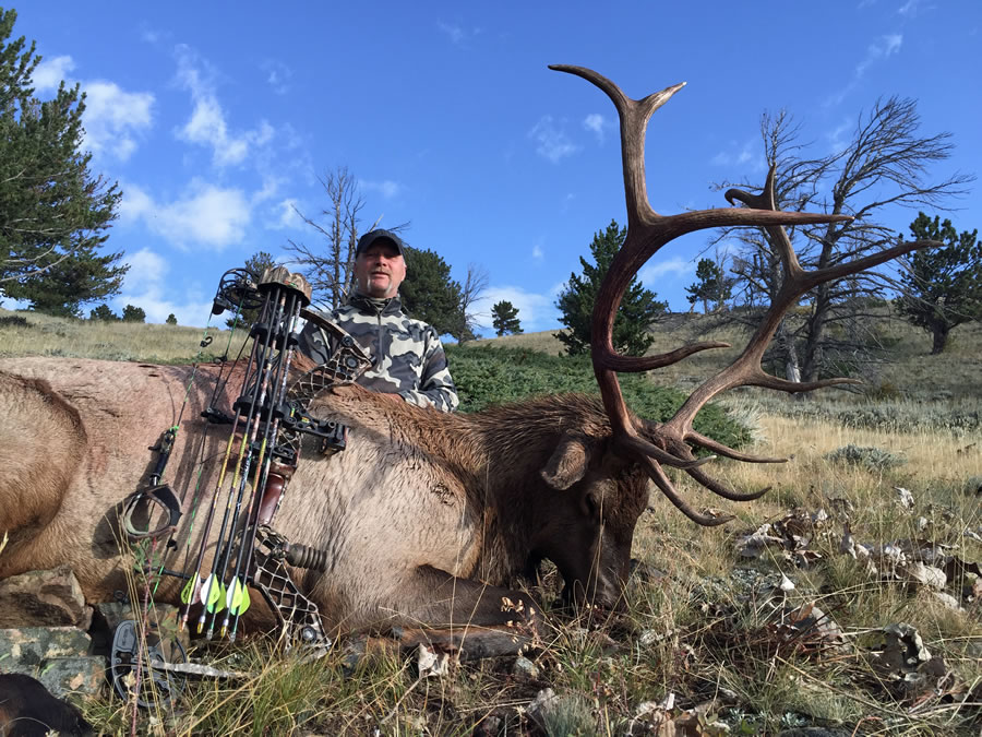 Elk Hunt Photo 5
