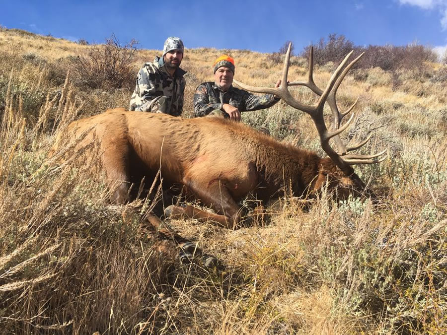 Elk Hunt Photo 38