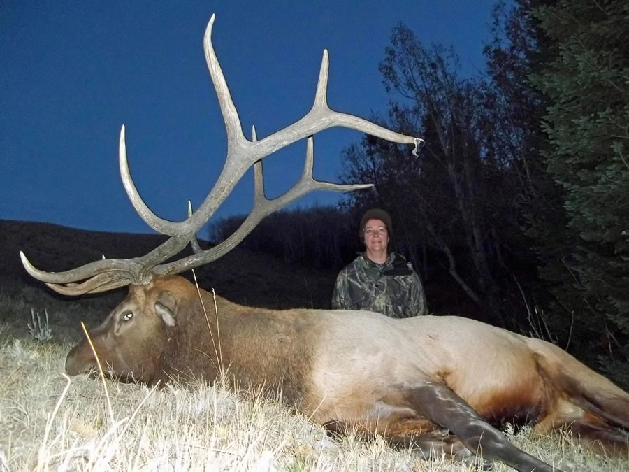 Elk Hunt Photo 10