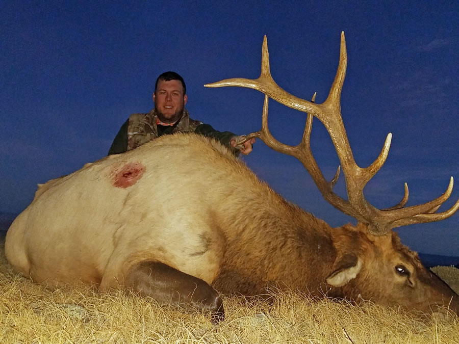 Elk Hunt Photo 13
