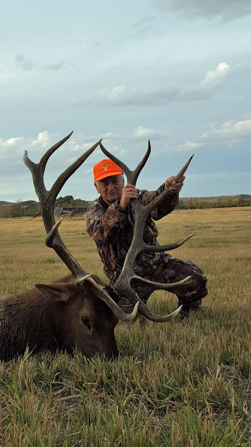 Elk Hunt Photo 15