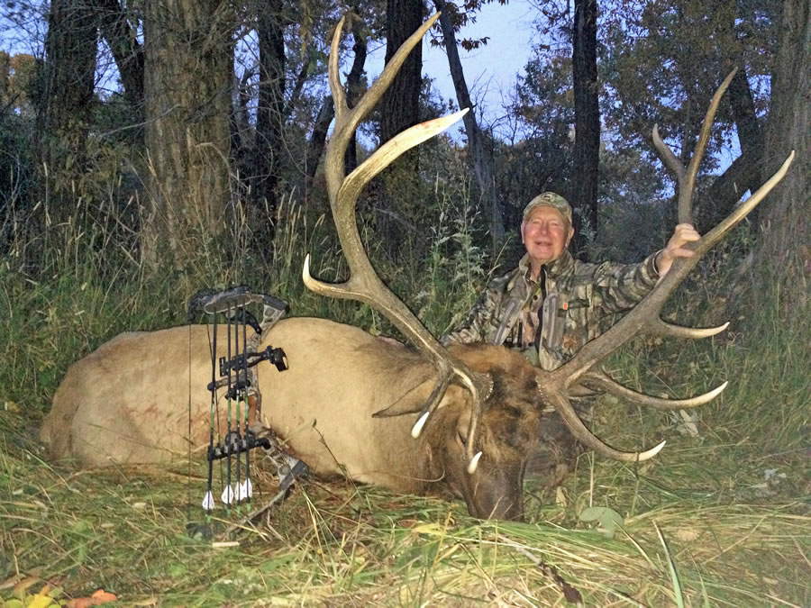 Elk Hunt Photo 17