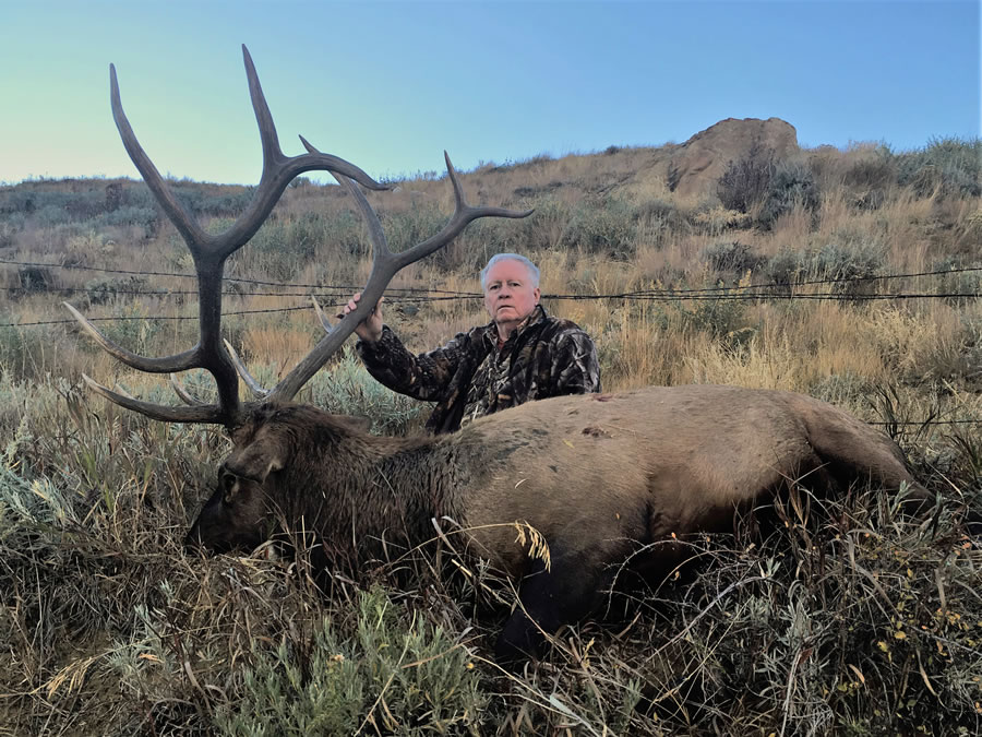 Elk Hunt Photo 18