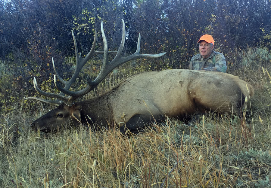 Elk Hunt Photo 19