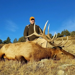 Foothill Elk 4