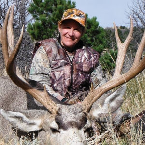 Wyoming Mule Deer Hunting, Archery Mule Deer Hunts, Tyler Sims Outfitting