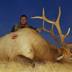 Tyler Sims Elk Hunts